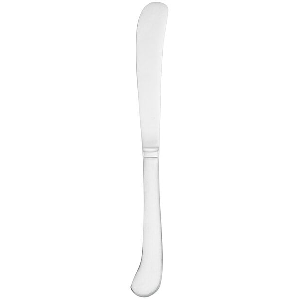 Walco Royal Bristol 8 3/4" Heavy Table Knife – item 9355145