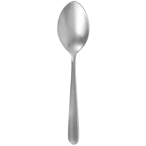 Walco Vacanza 9 1/2" Serving / Tablespoon Serving Spoon – item 935VAC03
