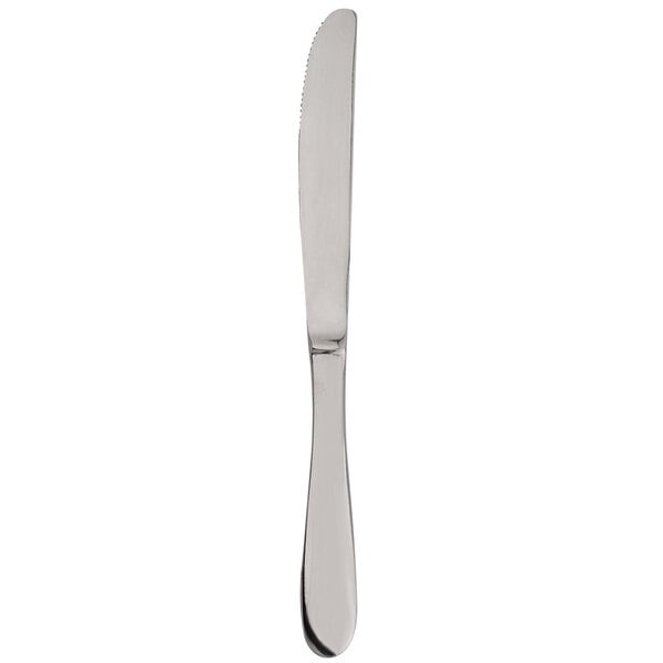 Walco Parisian 8 13/16" Heavy Dinner Knife – item 9356945