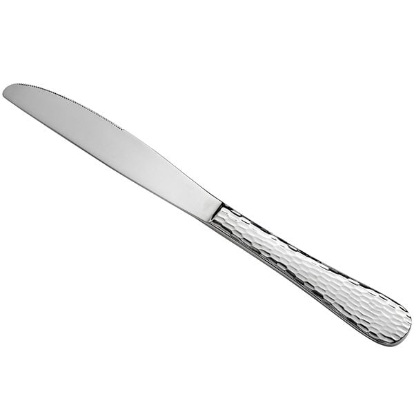 Acopa Inspira 9 5/8" X-Heavy Table Knife – item 267730812