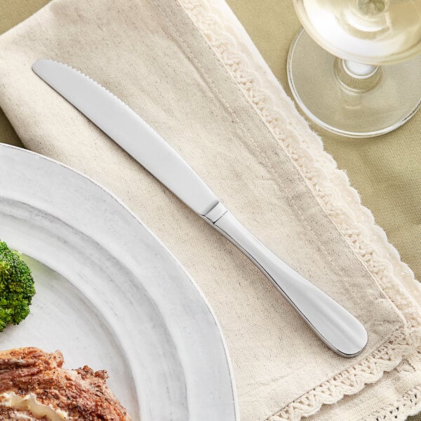 Acopa Brigitte 8 3/4" X-Heavy Dinner Knife – item 267720808 image 2