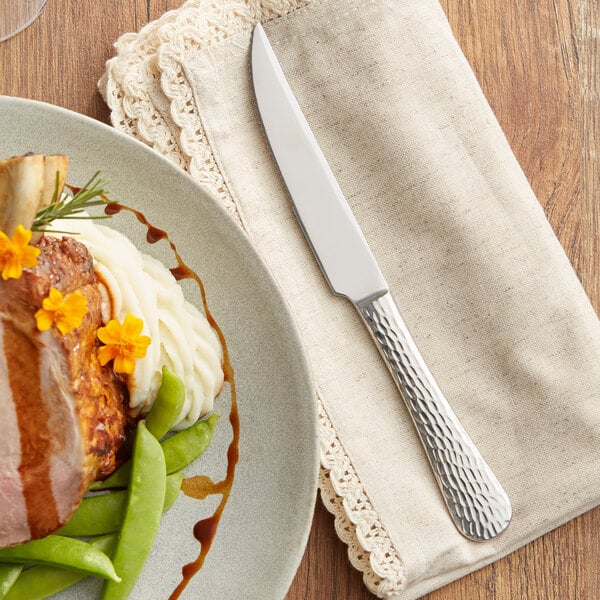 Acopa Inspira 9" X-Heavy Steak Knife – item 267730814 image 2