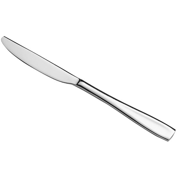Acopa Monte Bianco 9 1/2" X-Heavy Dinner Knife – item 267900808
