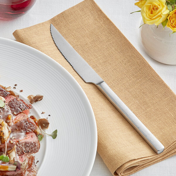 Acopa Petra 9" Distressed X-Heavy Steak Knife – item 267870814 image 2