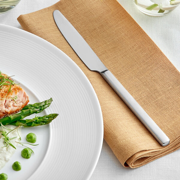 Acopa Petra 8 7/8" Distressed X-Heavy Dinner Knife – item 267870808 image 2