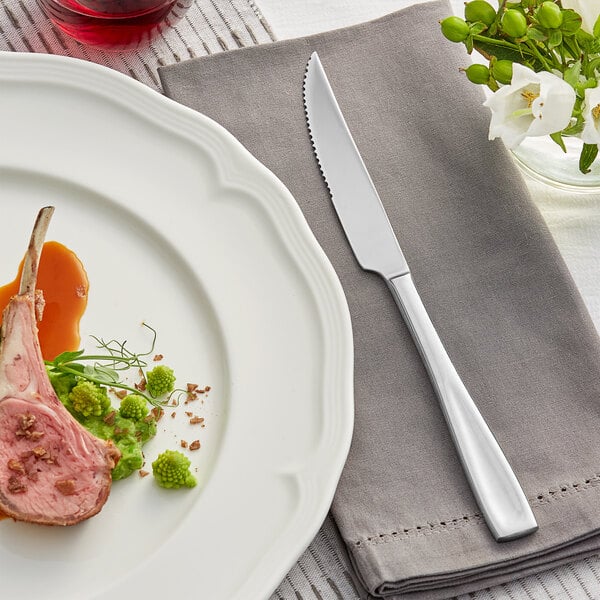 Acopa Monte Bianco 9 1/2" X-Heavy Steak Knife – item 267900814 image 2