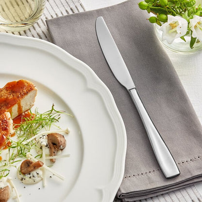Acopa Monte Bianco 9 1/2" X-Heavy Dinner Knife – item 267900808 image 2