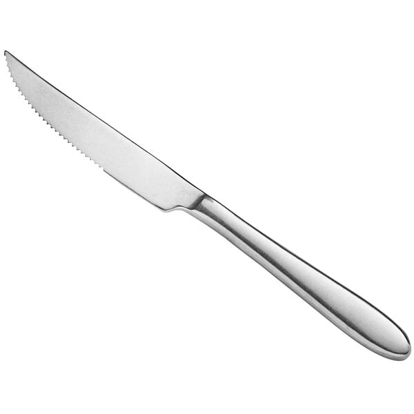 Acopa Pangea 9" Distressed X-Heavy Steak Knife – item 267880814
