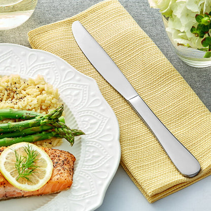 Acopa Vittoria 9 5/8" X-Heavy Table Knife – item 267740812 image 2