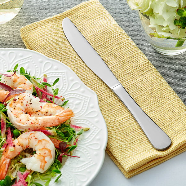 Acopa Vittoria 9 3/16" X-Heavy Dinner Knife – item 267740808 image 2