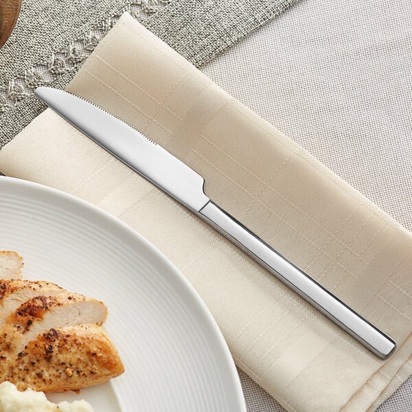 Acopa Penn Square 8 7/8" Heavy Dinner Knife – item 267380008 image 2