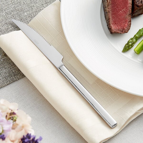 Acopa Penn Square 9" Heavy Steak Knife – item 267380014 image 2