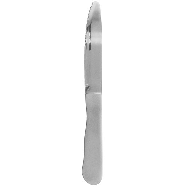 Walco Indestructible Serrated Steak Knife w/ Satin Handle – item 935840522