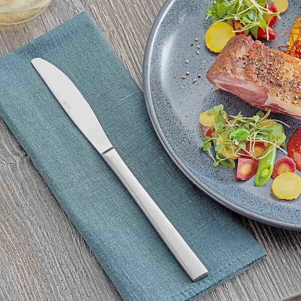 Acopa Phoenix Satin 9 5/16" Dinner Knife – item 267810008SN image 2