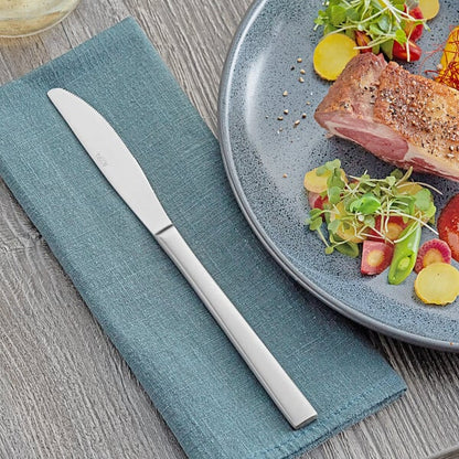 Acopa Phoenix Satin 9 5/16" Dinner Knife – item 267810008SN image 2