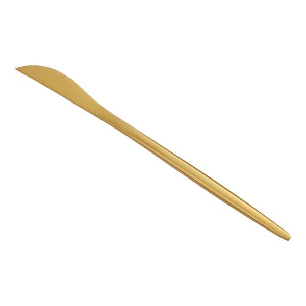 Acopa Odin Gold 8 7/8" Brushed X-Heavy Dinner Knife – item 267540808G