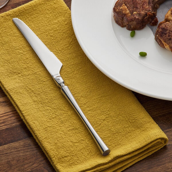 Acopa Hepburn 8 7/8" 18/10 X-Heavy Steak Knife – item 267700814 image 2