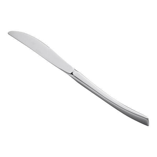 Acopa Lore 9 1/4" X-Heavy Standing Dinner Knife – item 267920808