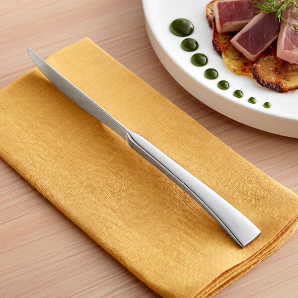 Acopa Lore 9 1/4" X-Heavy Standing Dinner Knife – item 267920808 image 2