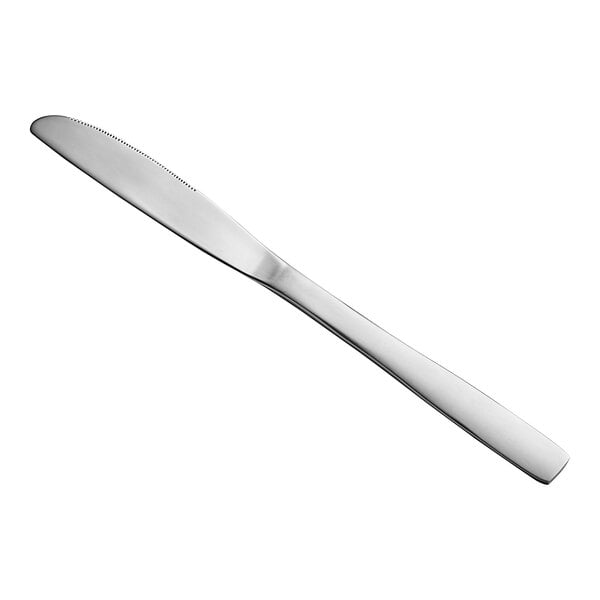 Choice Bellwood 8 5/8" Medium Dinner Knife – item 267300008B