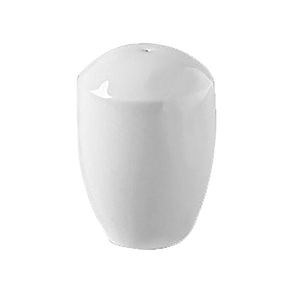 RAK Classic Polaris 6 3/8" Bright Porcelain Salt Shaker – item 772ASCLSS01
