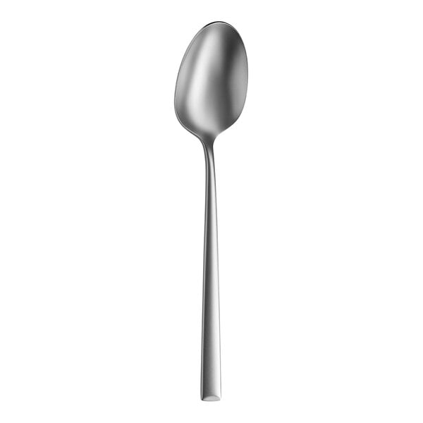 Amefa Metropole Velvet 8 1/4" Tablespoon / Serving Spoon – item 548117V1B325