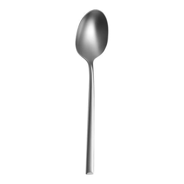 Amefa Metropole Velvet 7 1/2" X-Heavy Dessert Spoon – item 548117V1B345