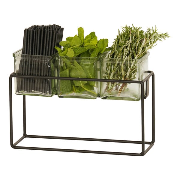 12 1/2" x 4 1/2" Condiment Display w/ 3 Square Glass Jars – item 21123747913