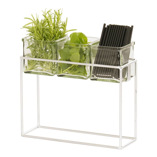 12 1/2" x 4 1/2" Condiment Display w/ 3 Square Glass Jars – item 21123747949