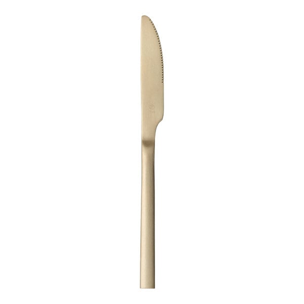 Libbey Elexa Satin OR 9" Gold Heavy Dinner Knife – item 9597635501