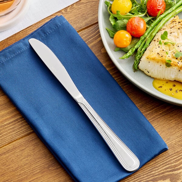 Acopa Lydia 8 7/8" X-Heavy Dinner Knife – item 267830808L image 2