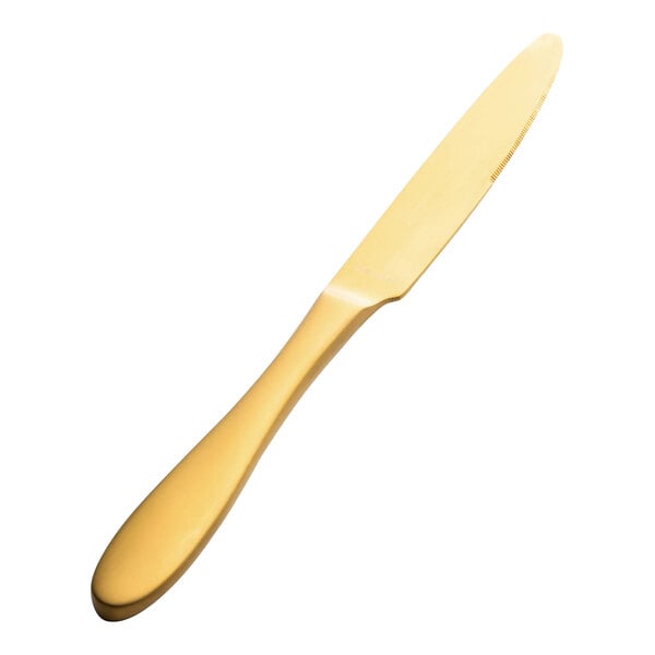 Bon Chef Luce 9 3/4" X-Heavy Matte Dinner Knife – item 201S4411GM