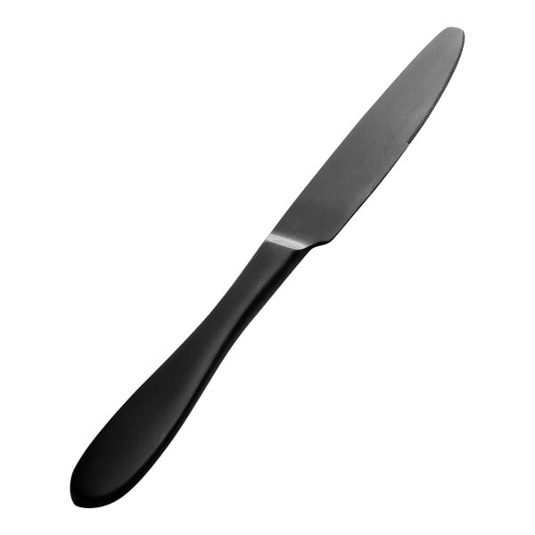 Bon Chef Luce 9 3/4" X-Heavy Matte Dinner Knife – item 201S4411BM