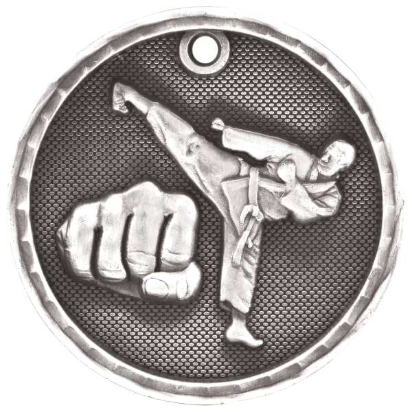 2" Martial Arts 3D Medal – item 3D209 image 2