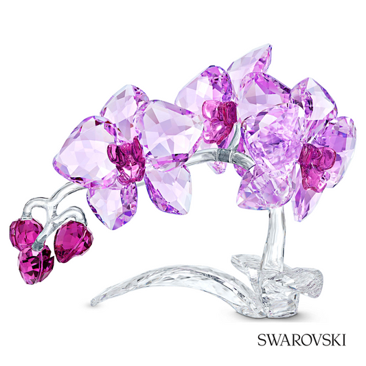 Swarovski Crystal Flowers Orchid – item 5520373