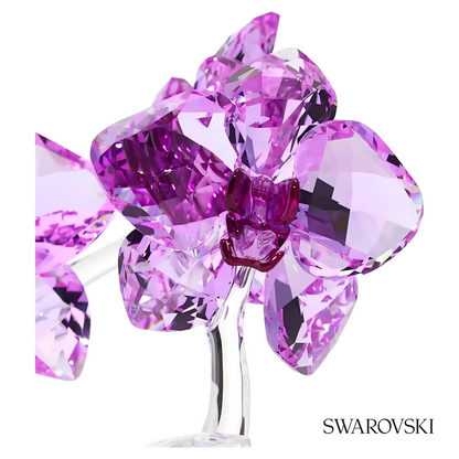 Swarovski Crystal Flowers Orchid – item 5520373 image 3