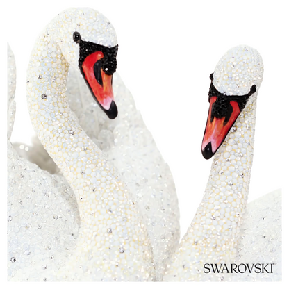 Swarovski Anadi – item 5545370 image 2