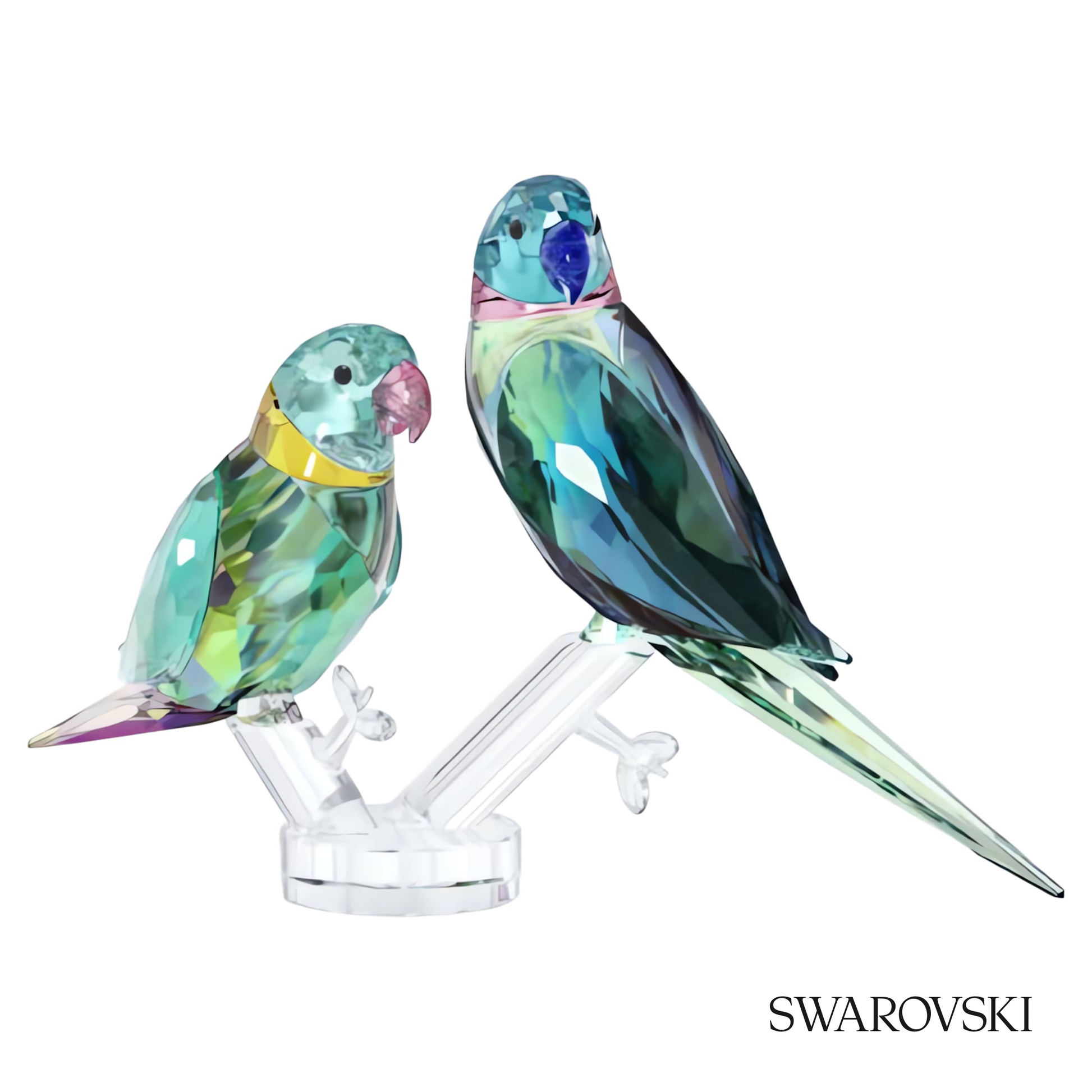 Swarovski Jungle Beats Parakeet Couple Fife & Fifer – item 5577124 image 2