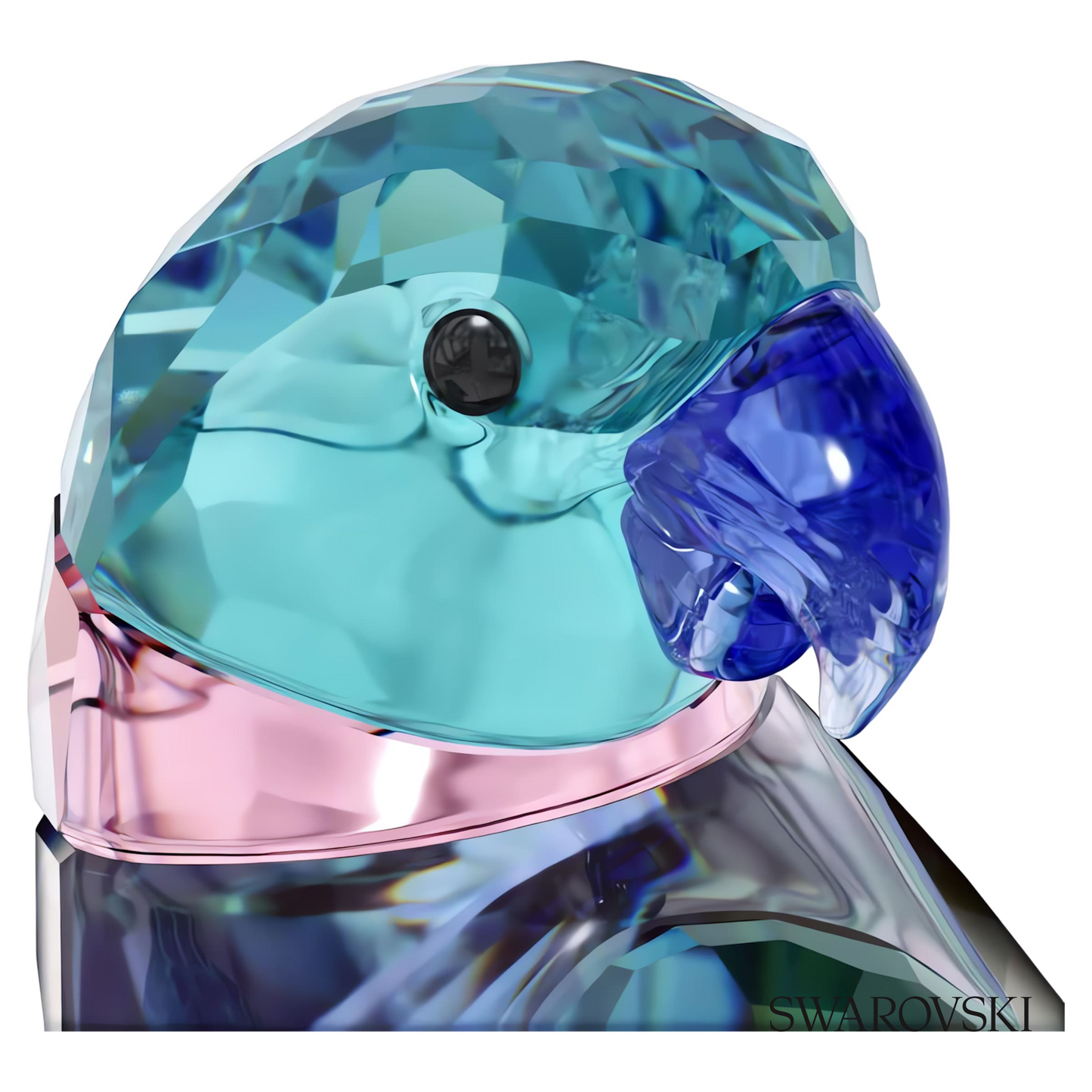 Swarovski Jungle Beats Parakeet Couple Fife & Fifer – item 5577124 image 3