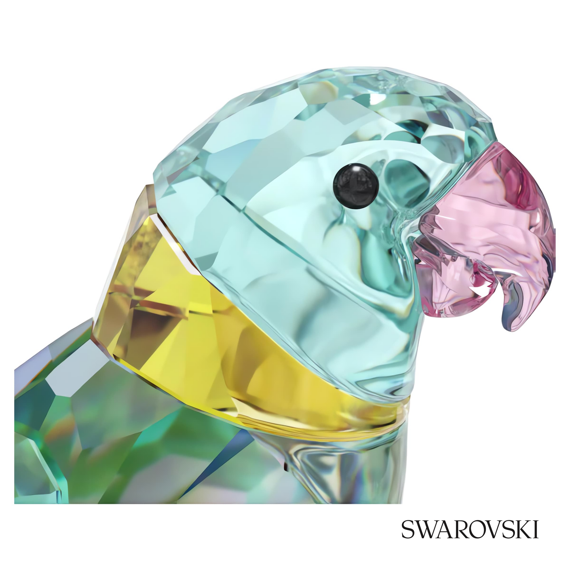 Swarovski Jungle Beats Parakeet Couple Fife & Fifer – item 5577124 image 4