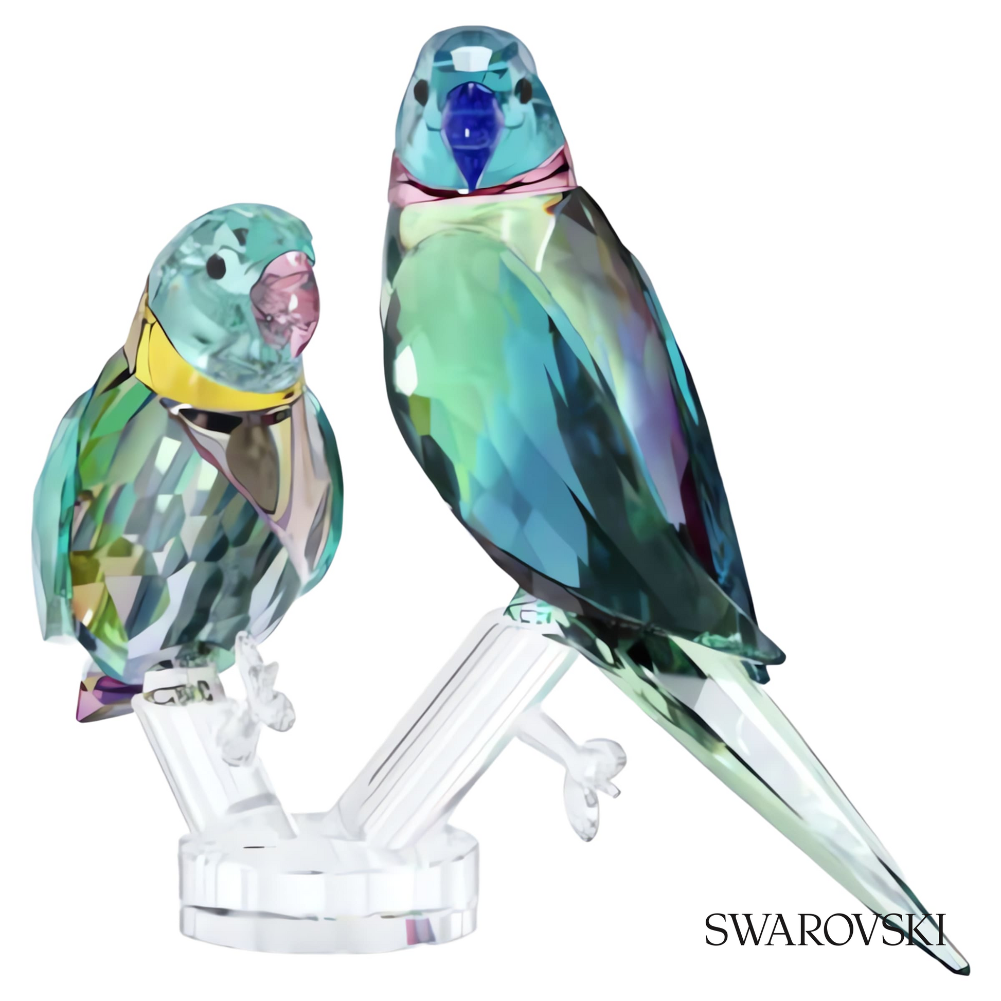 Swarovski Jungle Beats Parakeet Couple Fife & Fifer – item 5577124 image 5