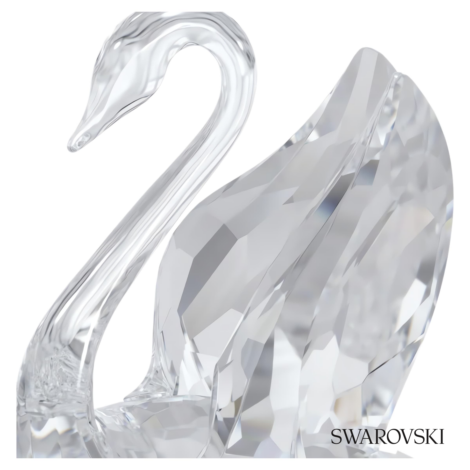 Swarovski Signum Swan, Small – item 5613254 image 4