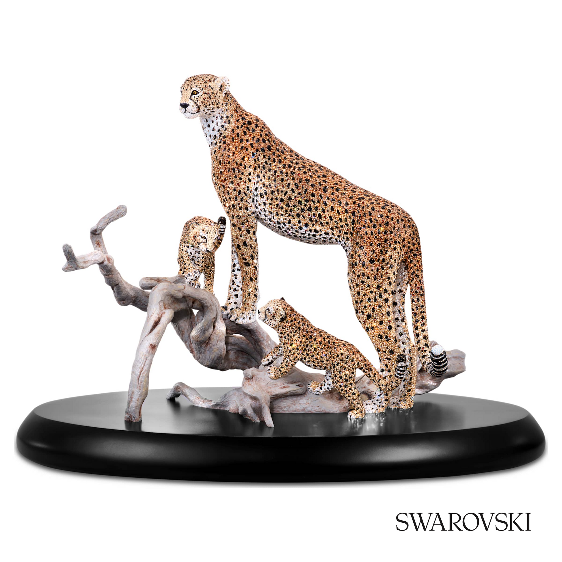 Swarovski Crystal Myriad Mirembe – item 5642366