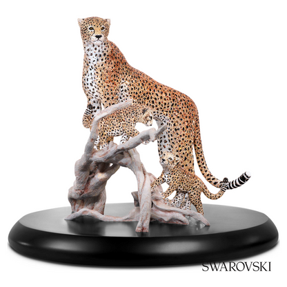 Swarovski Crystal Myriad Mirembe – item 5642366 image 2