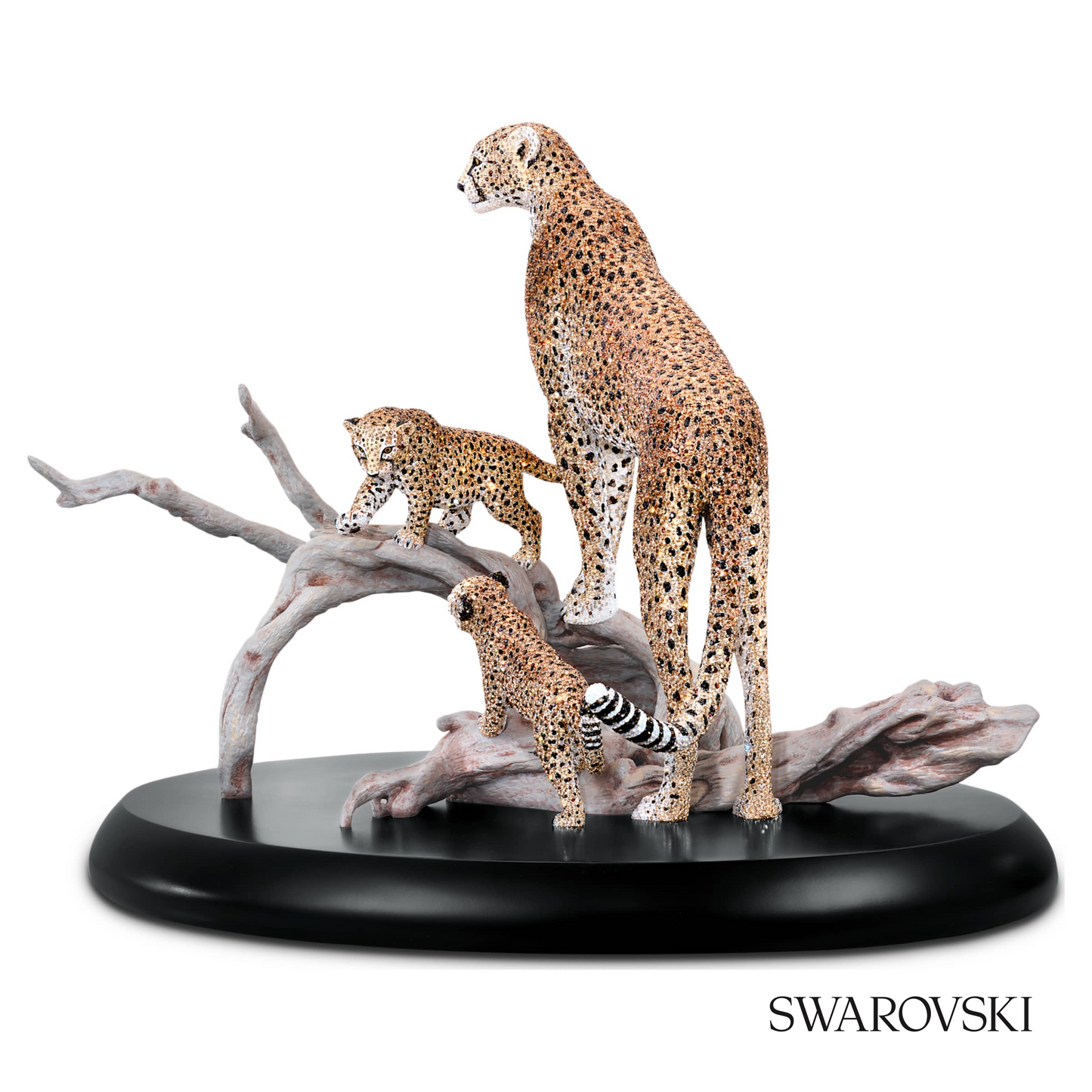 Swarovski Crystal Myriad Mirembe – item 5642366 image 3