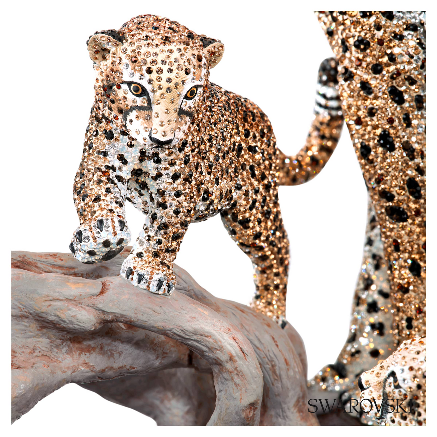 Swarovski Crystal Myriad Mirembe – item 5642366 image 4