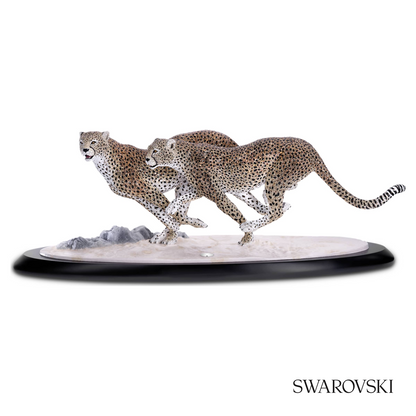 Swarovski Crystal Myriad Asuga – item 5652115