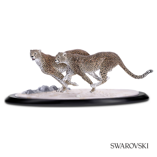 Swarovski Crystal Myriad Asuga – item 5652115