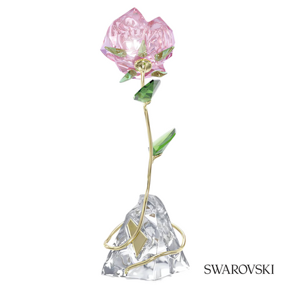 Swarovski Florere Rose – item 5666973 image 2