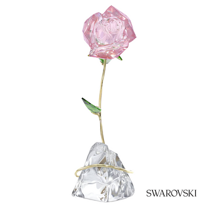 Swarovski Florere Rose – item 5666973 image 4